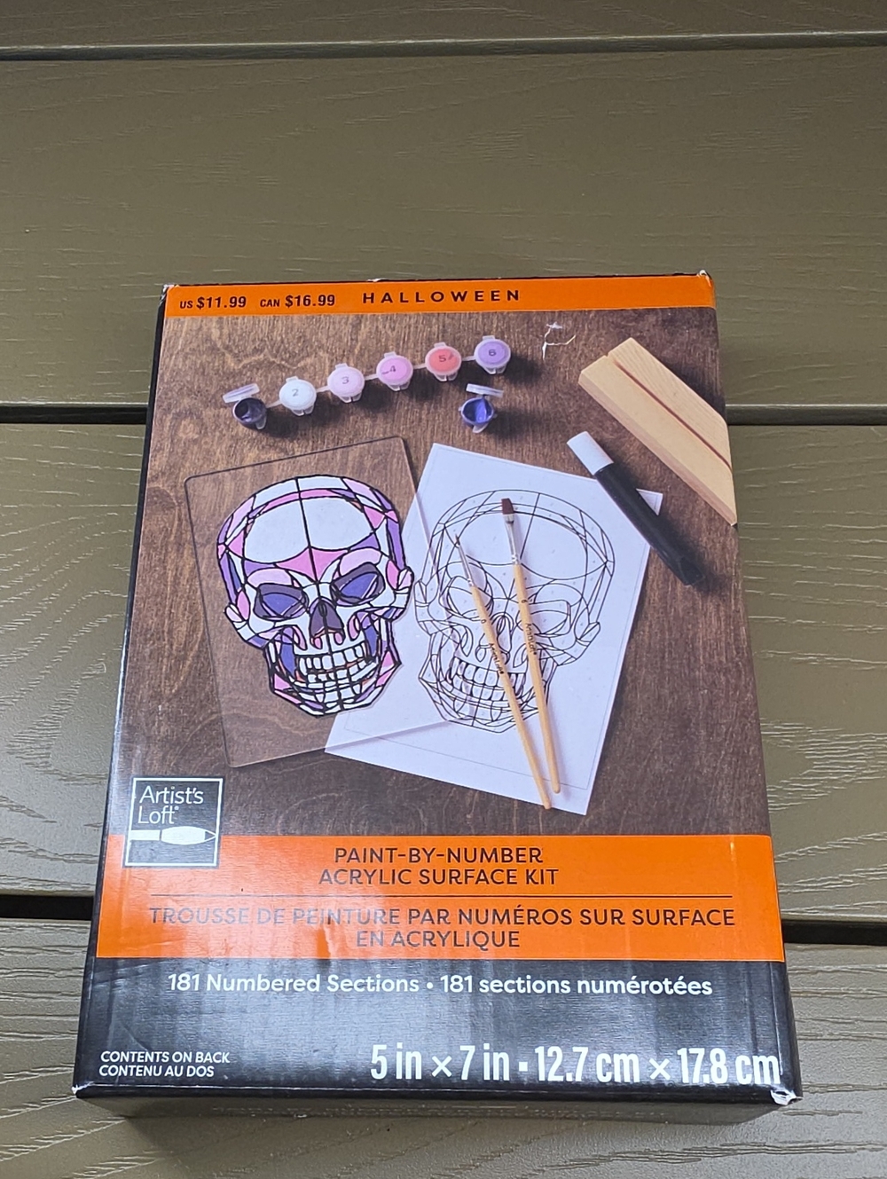 Pink & Purple Skull Paint-by-Number Acrylic Kit